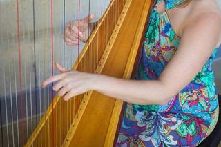 Adrianna Wolaver, Harpist - 5