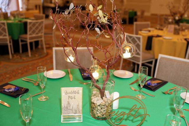 Opulence Events - 3