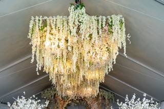 Evenings of Elegance - 9