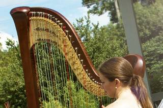 Claire Happel Ashe, Harp - 7