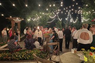 Alan Waltz Entertainment - 6