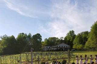Running Hare Vineyard - 19