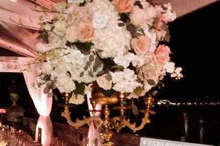 Petal Productions - 27
