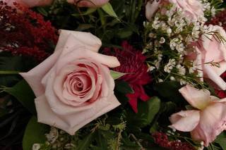 Stargazers Designs - 85