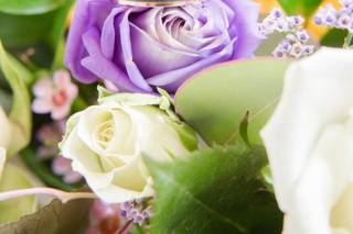 Idalia Photography - 44