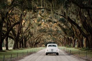 Krista Turner Photography - 6