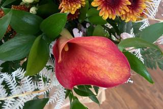 Matlack Florist - 36
