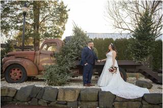 Marquee Photo Video - 57