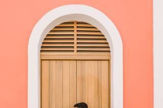 Jose Ruiz Photography - 19