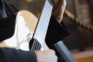 Jesse Davis Wedding Guitarist - 12