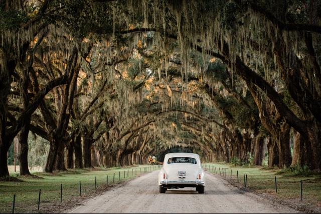 Krista Turner Photography - 2