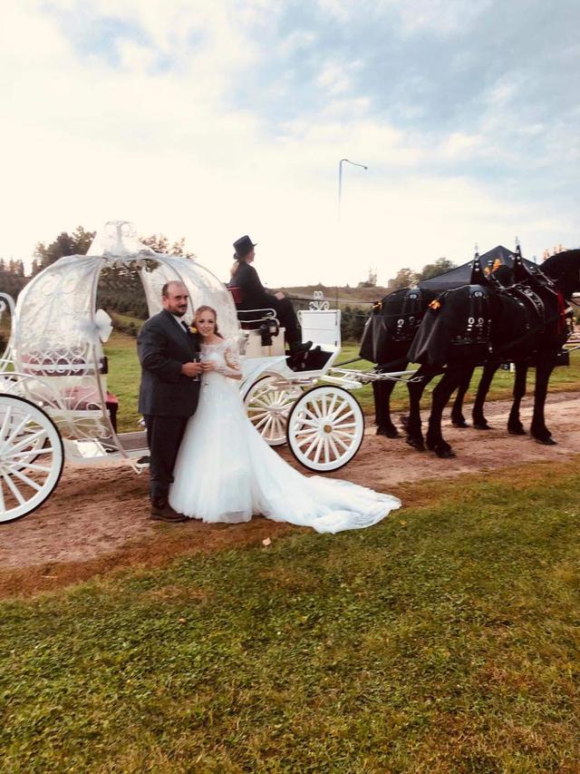 Cinderella Carriage LLC - 2