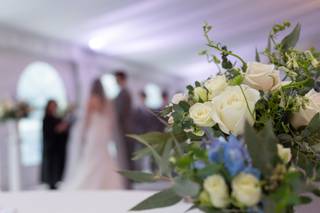 Jim Barbere Photography - 6