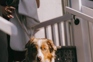Joshua Brown Photography - 8