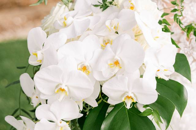 Couture Florals and Events 3