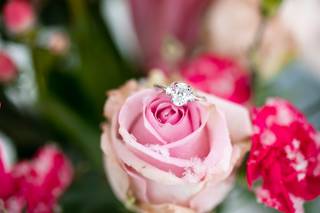 Chelsey Joy Photography - 36