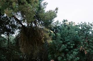 George Liopetas Photography - 41