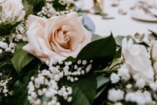 The Local Petaler - 81