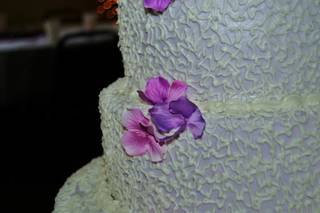 DreamBeautyPhotography - 5