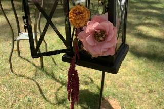 Lucy Blooms - 49