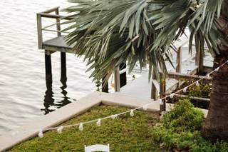 Tampa Bay Watch - 35