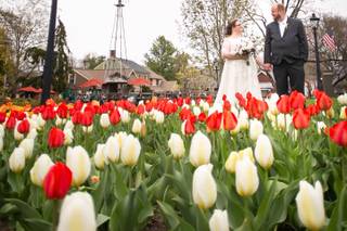 Peddler's Village - 66