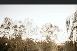 Melody Cook Photography - 6