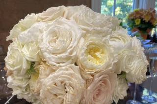 Harrington Flowers - 36