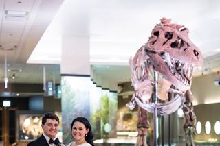 The Field Museum - 5