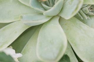 Cindy Medick Photography - 19