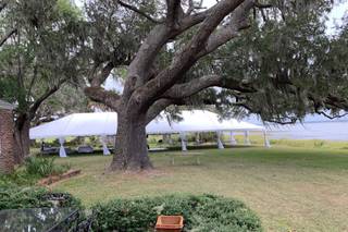 Coosaw Plantation - 10