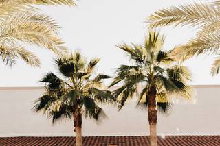 Laki Events and Design - 11