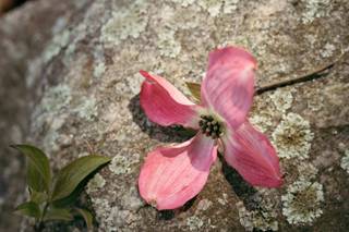 With These Rings - 16