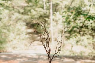 Little Piney - 15