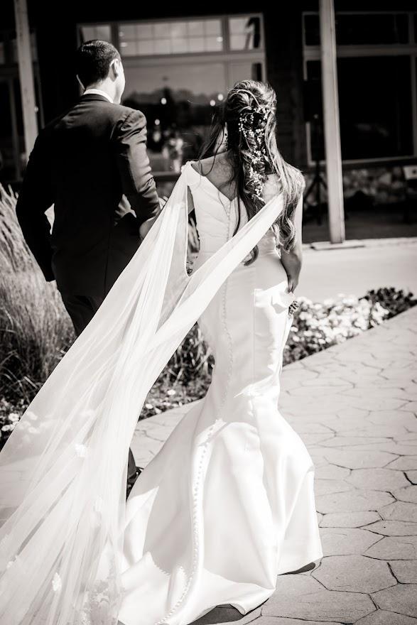Mollan Photography - 2