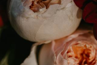 Par La Mer Photography - 30