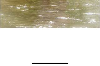 Southern Roots Photography - 6