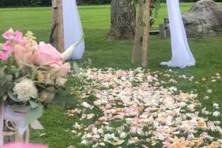 Birds of a Flower - 32