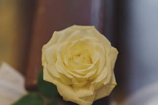 Michele Monasta Photography - 20