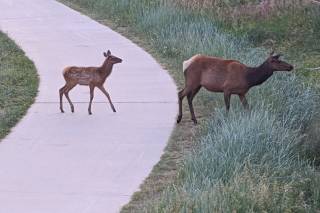 The Estes Park Resort - 6