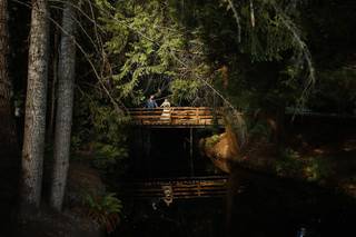 Cedar Springs - 5
