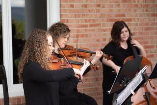 Anderson String Quartet - 7