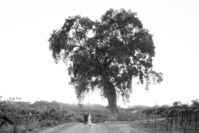 Natalie Bray Photography - 1