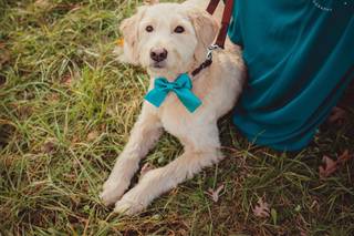 Willow Walk Photography - 35