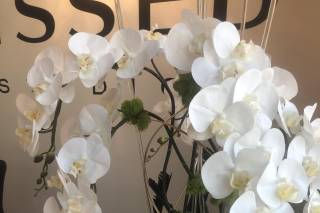Vique Botanical Boutique - 4