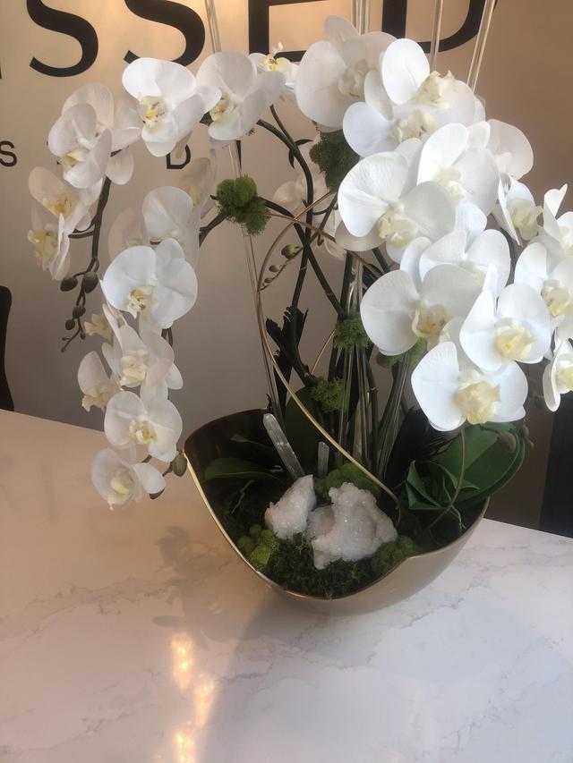 Vique Botanical Boutique - 2