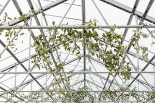 Of the Fields Floral Design - 12