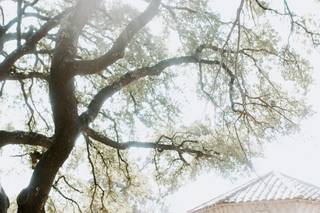 Christy Archibald Photography - 21