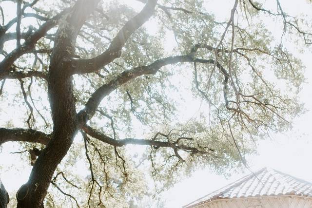 Christy Archibald Photography 3