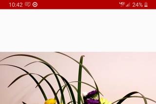 Jill Heaton Floral Design - 32
